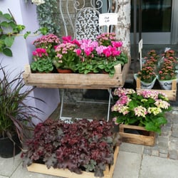 Blumen Kersten