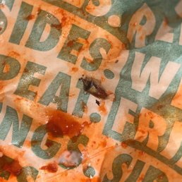 a piece of pizza on a piece of paper a piece of pizza on a piece of paper