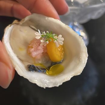 Snail Bar - a closer look at the oysters - Wine Bars Near Me - Oakland, California