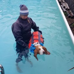 Splash-Dog Swim Therapy - Maggie getting therapy!