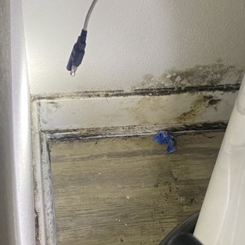 The Hyve by Mark-Taylor - Mold. Resulting from failure to hook up the condensation line sensor properly. Great job Hyve! - Apartments Near Me - Tempe, Arizona