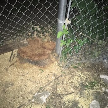 Pro Tree Service - Tree Services Near Me - Mokena, Illinois