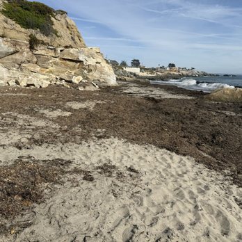 Mitchell's Cove Beach - Beaches Near Me Mitchell's Cove Beach - Beaches Near Me