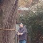 Photo of Acacia Tree Service