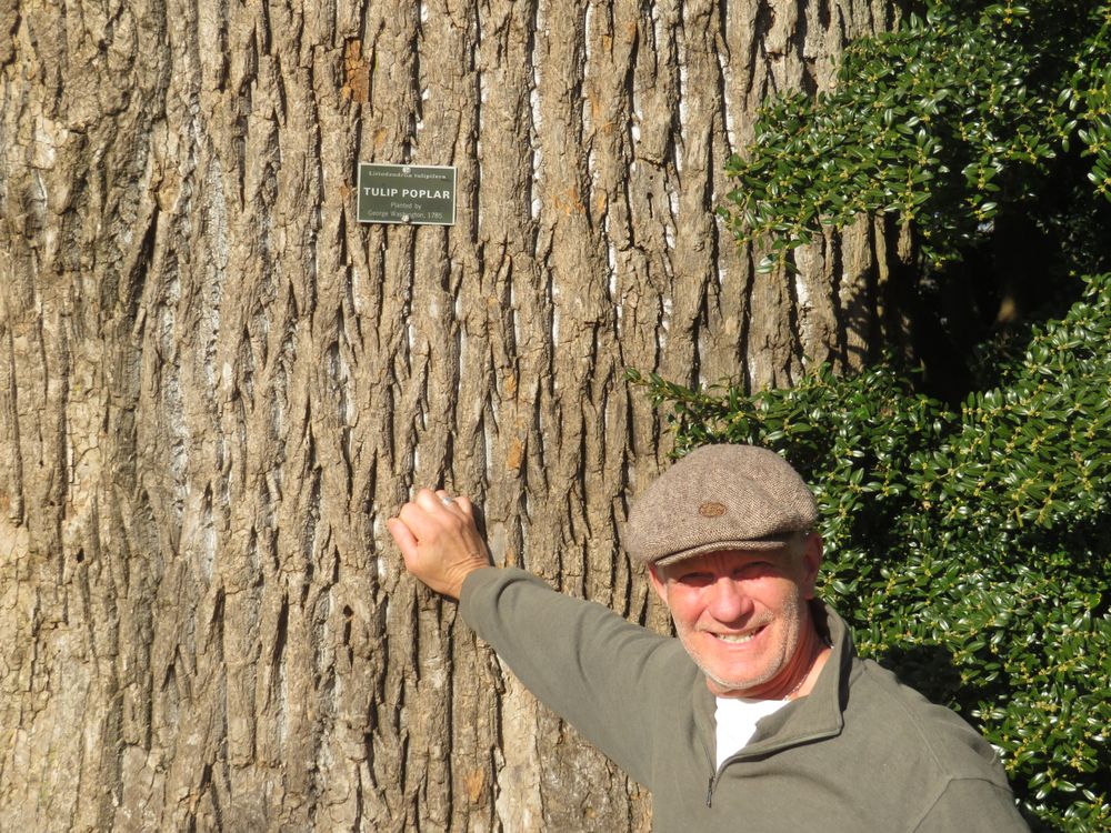 Colorado Tree Arborist - tree service in Denver, CO