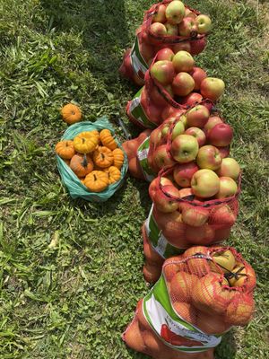 Clarke's Family Farm by null