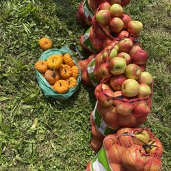 Clarke’s Family Farm - Honey crisp apples and gourds