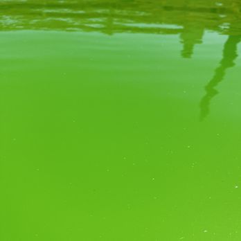 Secard Pools & Spas - Phosphate remover phase - Hot Tub & Pool Near Me - Hesperia, California Secard Pools & Spas - Phosphate remover phase - Hot Tub & Pool Near Me - Hesperia, California