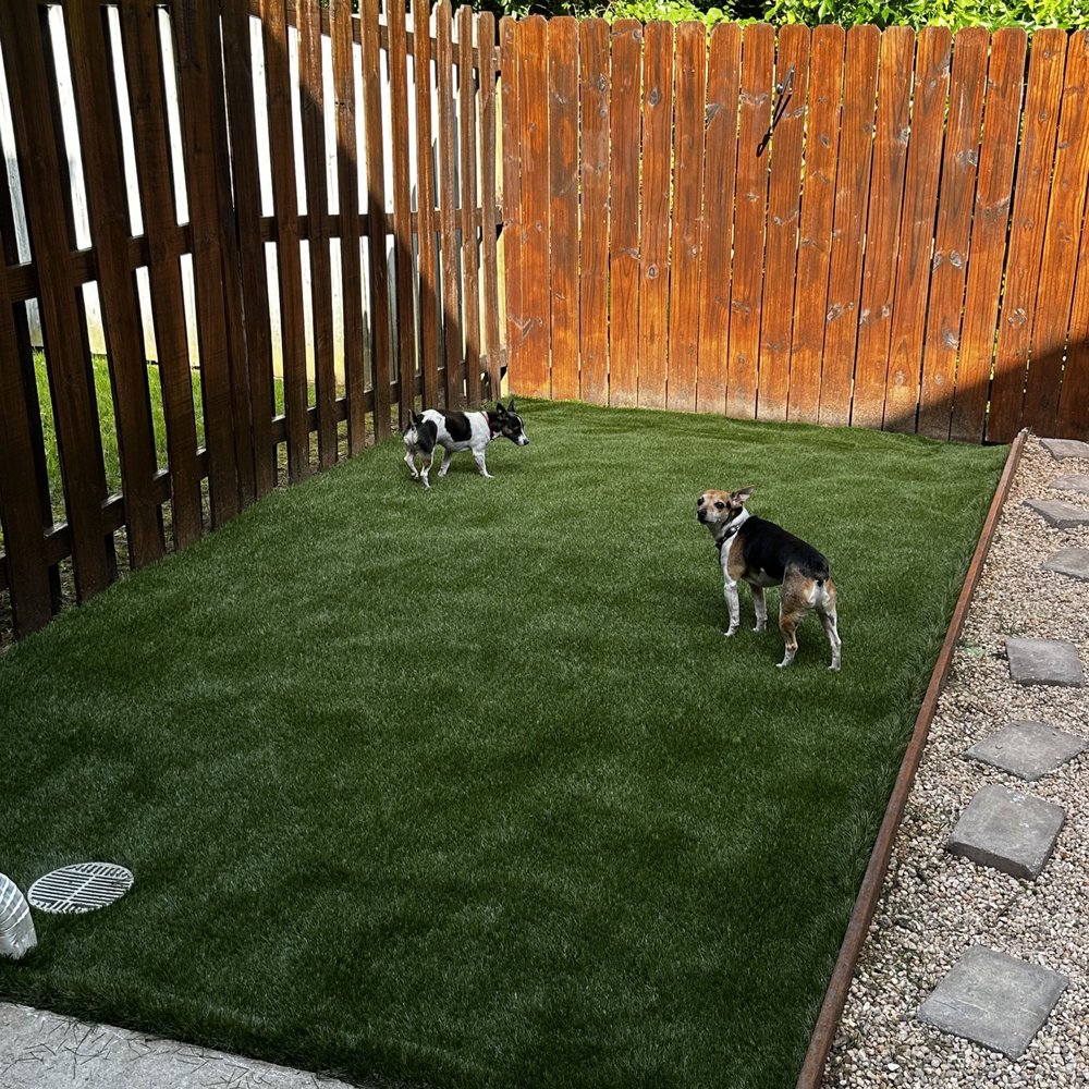 Purchase Green Artificial Grass - Garner - Artificial Turf Near Me - Garner, North Carolina Purchase Green Artificial Grass - Garner - Artificial Turf Near Me - Garner, North Carolina