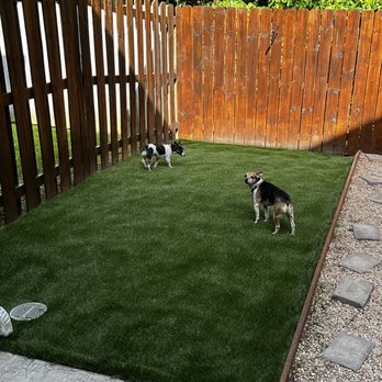 Purchase Green Artificial Grass - Garner - Artificial Turf Near Me - Garner, North Carolina