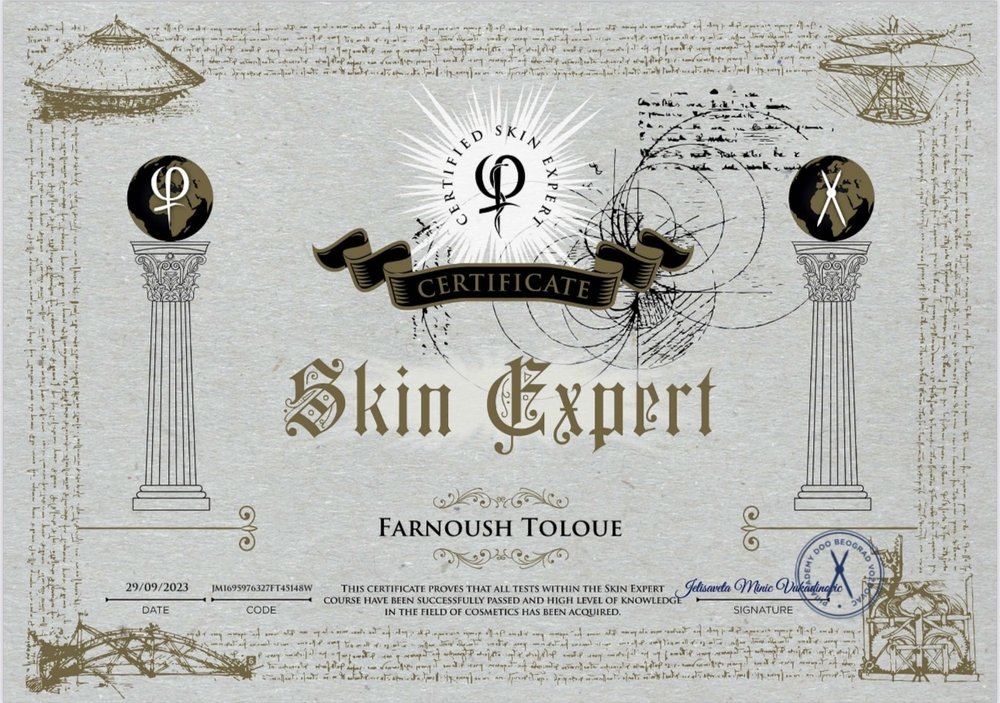 PhiArtist Farnoush  Logo