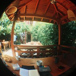 Hush Hostel - Garden in back.