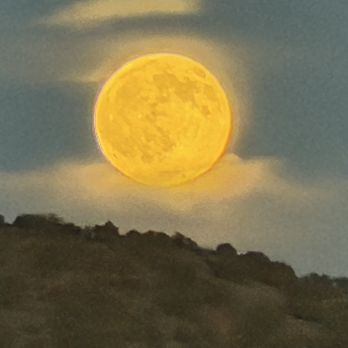 Sky Railway - Harvest moon - Tours Near Me - Santa Fe, New Mexico Sky Railway - Harvest moon - Tours Near Me - Santa Fe, New Mexico