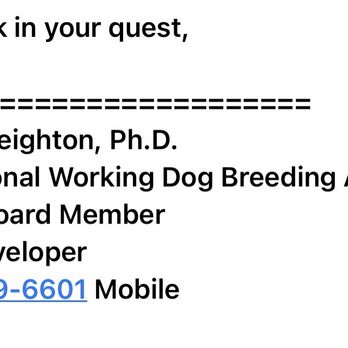 Bobs Dogs - Pet Training Near Me - Torrance, California Bobs Dogs - Pet Training Near Me - Torrance, California