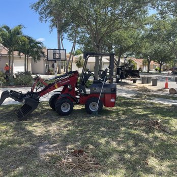 Go Pro Professional Tree Care - Tree Services Near Me - Southwest Ranches, Florida Go Pro Professional Tree Care - Tree Services Near Me - Southwest Ranches, Florida