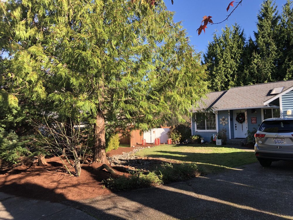 PERFECTO’S LANDSCAPING Updated September 2024 20 Photos Lynnwood, Washington Gardeners