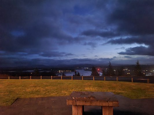 The Astoria Column by null