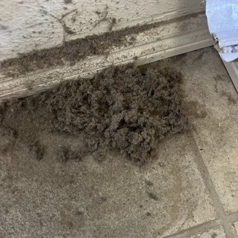 Ea Duct Cleaning - All the lint that they cleaned out - Air Duct Cleaning Near Me - Los Gatos, California Ea Duct Cleaning - All the lint that they cleaned out - Air Duct Cleaning Near Me - Los Gatos, California
