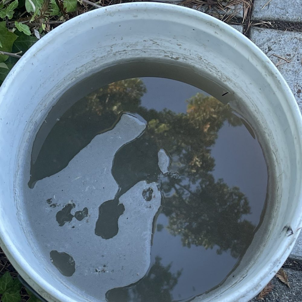 Scrub Troopers - Water from cleaning rugs - Carpet Cleaning Near Me