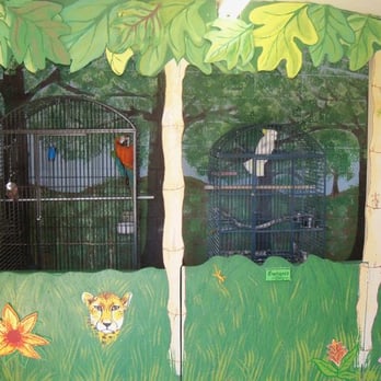 Polyanna kennels - Our resident parrots, Harley and Harpo! Don't be surprised if the say hello or sing you a song! We also board small animals. - Pet Sitting Near Me - New Kensington, Pennsylvania Polyanna kennels - Our resident parrots, Harley and Harpo! Don't be surprised if the say hello or sing you a song! We also board small animals. - Pet Sitting Near Me - New Kensington, Pennsylvania