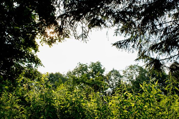 Plan Bee Farm Brewery by null