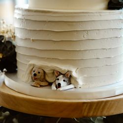 Lake Tahoe Cakes