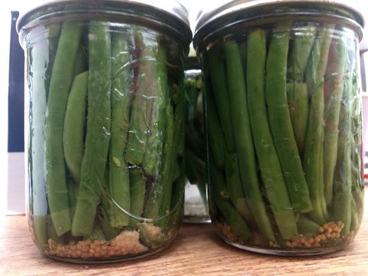 Burpee Seeds and Plants by null
