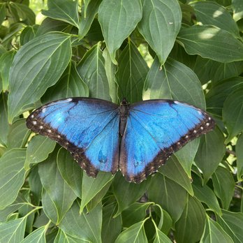 Chicago Botanic Garden - Botanical Gardens Near Me - Glencoe, Illinois