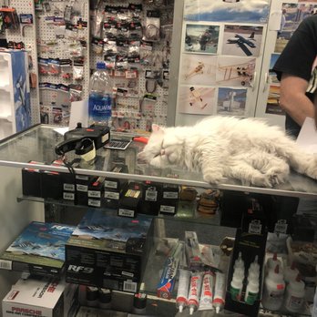 Dynamic Hobbies - Cute cat at the shop. She's friendly , greeted us at the door and has soft fur. - Hobby Shops Near Me - Hemet, California Dynamic Hobbies - Cute cat at the shop. She's friendly , greeted us at the door and has soft fur. - Hobby Shops Near Me - Hemet, California