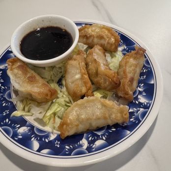 Big Fun Claypot - Gyoza - Chinese Near Me - Brookline, Massachusetts