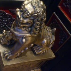 Hoang Asia
