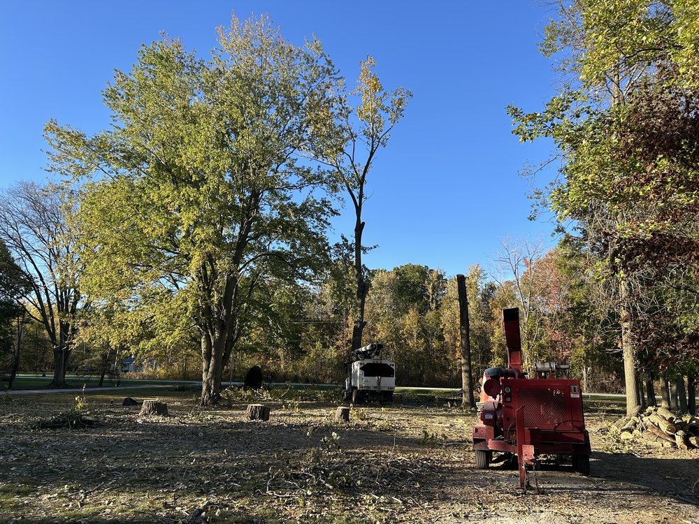 The Tree Guys - veterans service organization in Armada, MI