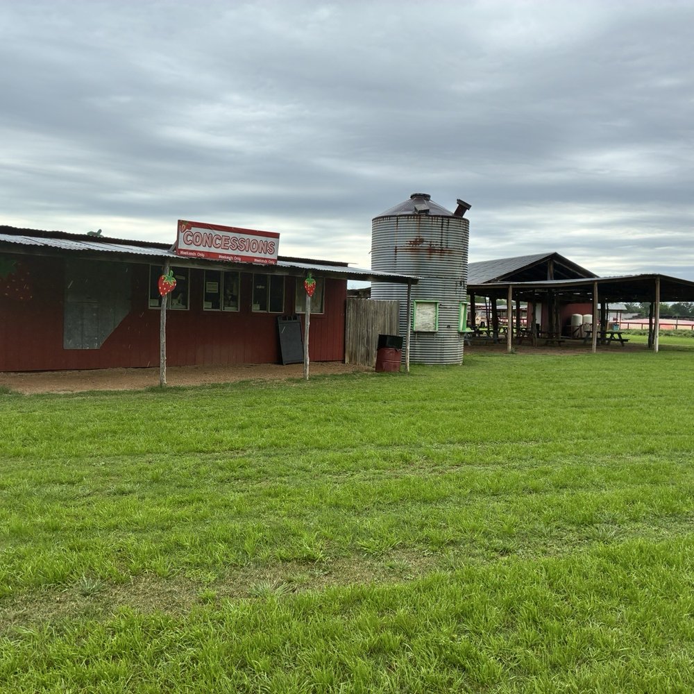 Sweet Berry Farm - Attraction Farms Near Me - Marble Falls, Texas