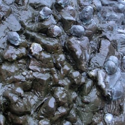 Brunnen Unser Planet