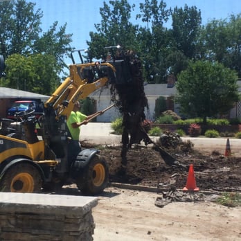 Parker Tree Service - Parker Tree Service getting rid of the old trees and bushes on our property. - Tree Services Near Me - Caldwell, Idaho
