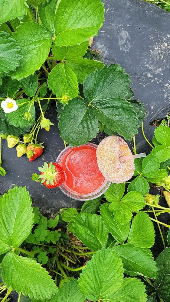 GARDENER’S ORCHARD & BAKERY Updated August 2024 4455 W Farm Rd 2