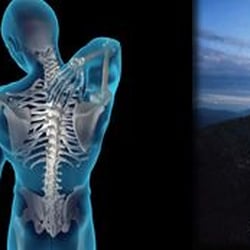 Art of Chiropractic