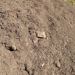 Abiqua Landscape Products - Junk soil mix