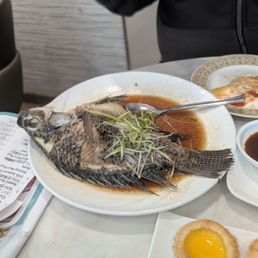 Free steam fish for spending 35 dollars Free steam fish for spending 35 dollars