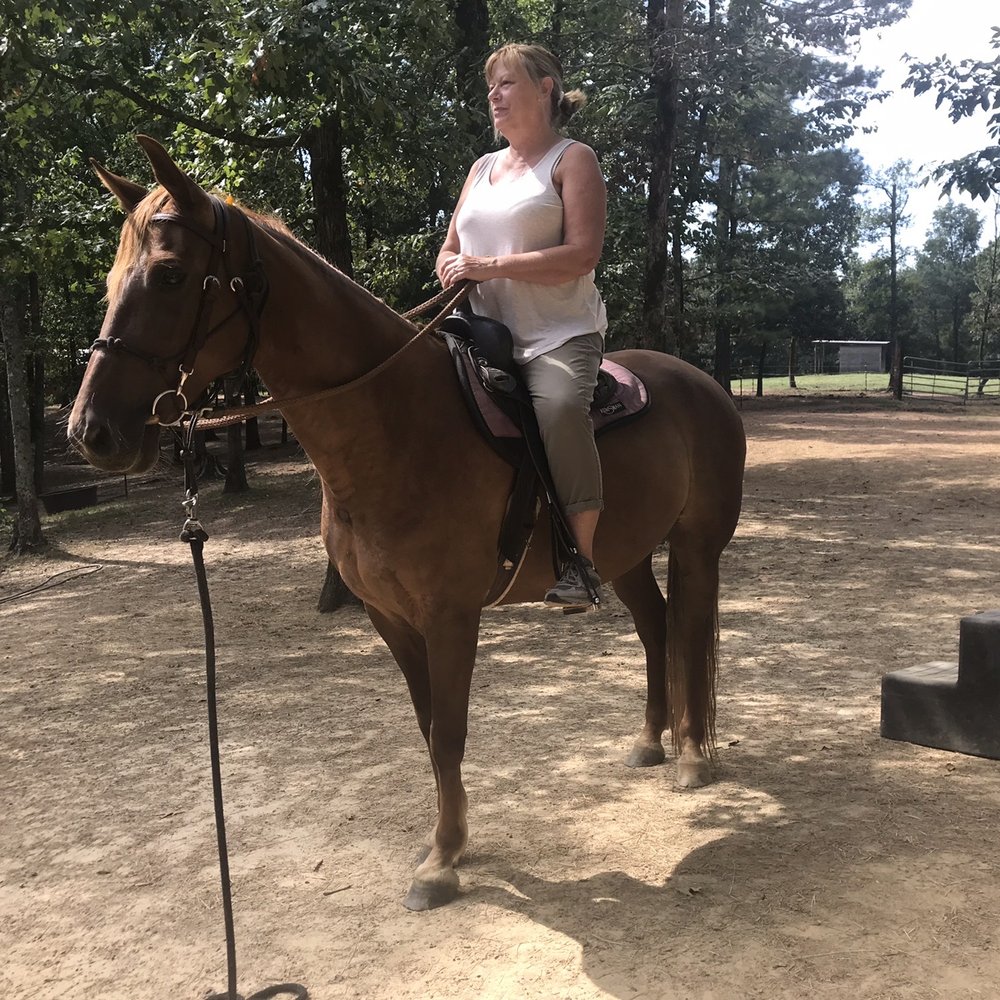 THE BEST 10 HORSE BOARDING in JASPER, AL - Updated 2026 - Hours - Yelp