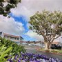 Photo of Back Bay Center