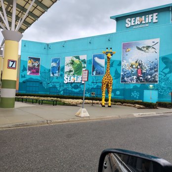 Great Lakes Crossing Outlets - Sealife Aquarium - Shopping Centers Near Me - Auburn Hills, Michigan