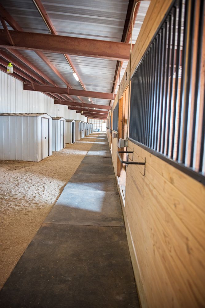 Silver Sage Equestrian - equestrian in Cheyenne, WY