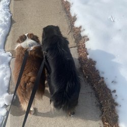 Mc’s Dog House