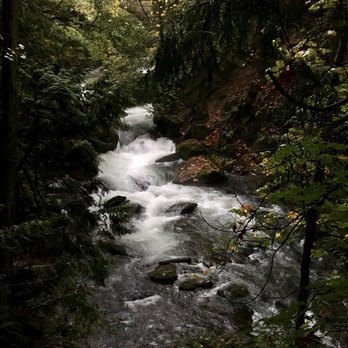 Whatcom Falls Park - Dog Parks Near Me - Bellingham, Washington
