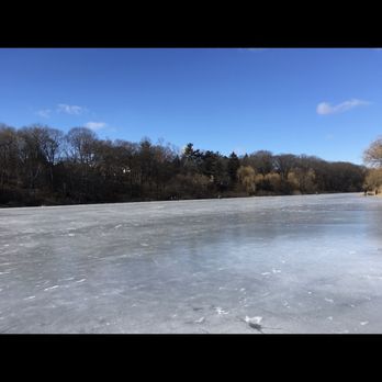 High Park - Frozen pond - Parks Near Me - Toronto, Ontario
