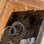 Photo of Kekoa Pest Control
