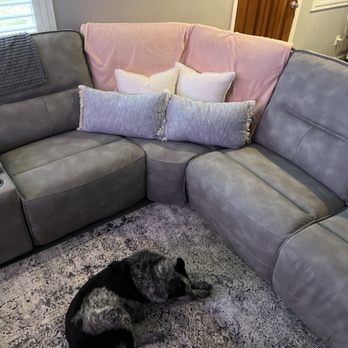 BoxDrop - Our new sofa in our home! - A gray sectional sofa with decorative pillows, a pink blanket, and a dog lying on a patterned rug in a living room. - Mattresses Near Me - Castle Rock, Colorado