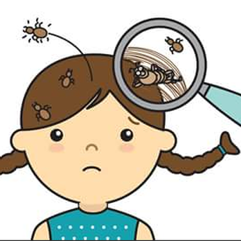 Bergen Lice Removal - Lice Services Near Me Bergen Lice Removal - Lice Services Near Me