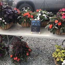6/13/24